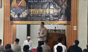 IMG-20260512-WA0018